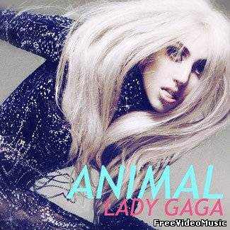 Текст и перевод песни Lady GaGa - Animal