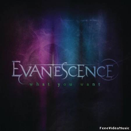 Текст и перевод песни Evanescence - What You Want