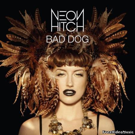 Текст песни Neon Hitch - Bad Dog